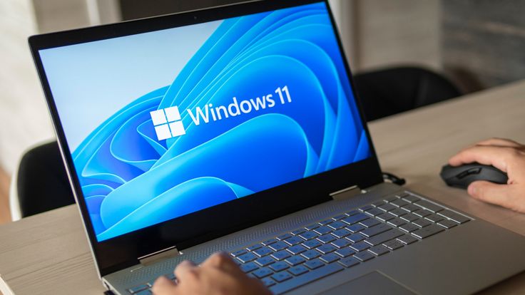 Windows 11